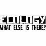 Ecology What Else Is There? photo sculptures
