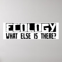 Ecology What Else Is There? Print