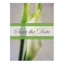 Économies d'aquarelle du zantedeschia 1 le mariage carte postale