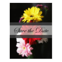 Économies de la marguerite 2 de Gerbera le mariage Cartes Postales