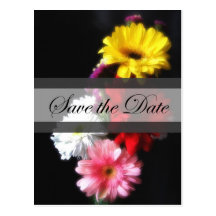 Économies de la marguerite 3 de Gerbera le mariage Cartes Postales