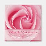 Économies de Madame rose rose l'aimant de date