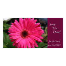 Économies "de marguerite rose de Gerbera" la date Photocartes Personnalisées