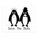 Économies de pingouin le faire-part de mariage de  cartes postales