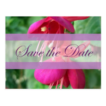 Économies du fuchsia 4 le mariage de date cartes postales