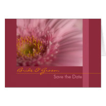 Économies roses de Gerbera la carte de date