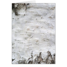 Écorce de bouleau cartes de vœux