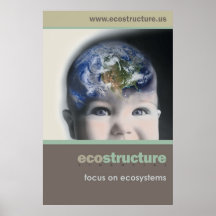Ecostructure Poster 24x36