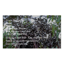 Écrous de gomme noire avec ses branches carte de visite
