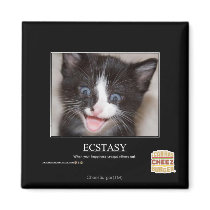Ecstasy Magnet