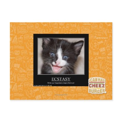 Ecstasy Post Card by icanhascheezburger