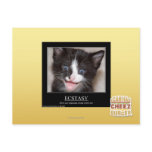 Ecstasy Post Card