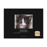 Ecstasy Postcards