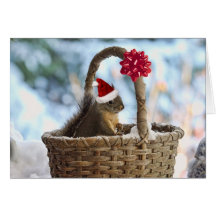 Écureuil de Père Noël dans la neige Cartes