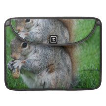 Écureuil gris 15" douille de MacBook Poche Pour Macbook
