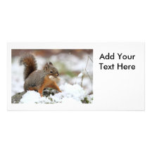Écureuil mignon dans la neige avec l'arachide carte avec photo