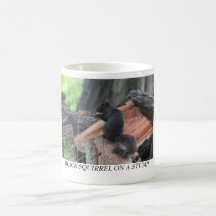 ÉCUREUIL NOIR SUR UN TRONÇON TASSE
