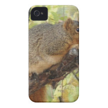 ÉCUREUILS COQUES Case-Mate iPhone 4