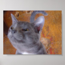 eddie searching posters