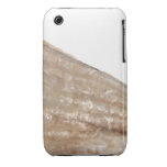 Edge of Seashell. Close Up Picture. iPhone 3 Covers