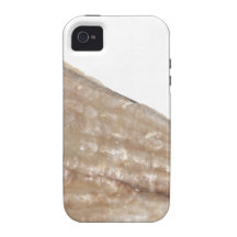 Edge of Seashell. Close Up Picture. Case-Mate iPhone 4 Cases