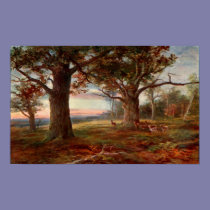 Edge of Sherwood Forest posters