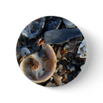 Edisto Beach Shells Pins