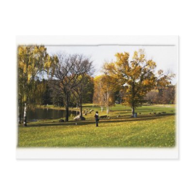Edmonton alberta postcard by equals