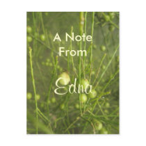 Edna Post Card