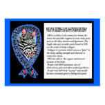 EDS Zebra Awareness, Wallet Card. Business Card Template