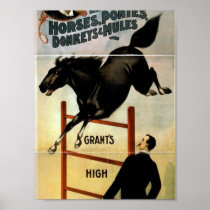 Educated Horses Posters