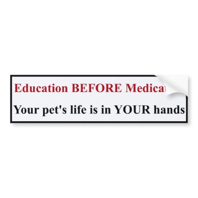 Education BEFORE Medication Bumper Sticker by mikeysmommy