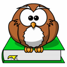 Education Owl on Green Book Photo Sculpture