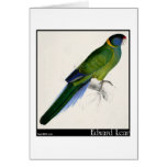 Edward Lear's Bauer’s Parakeet Card