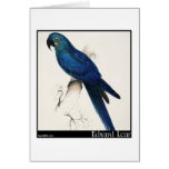 Edward Lear's Hyacinth Macaw Greeting Card