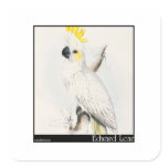 Edward Lear's Lesser Sulphur-Crested Cockatoo Stickers