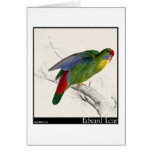 Edward Lear's Red-Fronted Parakeet Greeting Cards