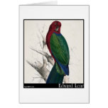 Edward Lear's Tabuan Parakeet Greeting Cards