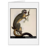 Edward Lear's "Vitoe" Card