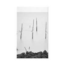 Eel poles canvas print  