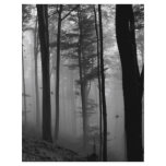 EERIE FOREST TREES LEAVES B&W CUSTOM FLYER