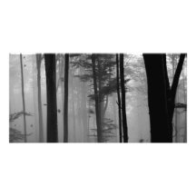 EERIE FOREST TREES LEAVES B&W PERSONALIZED PHOTO CARD