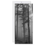 EERIE FOREST TREES LEAVES B&W RACK CARD TEMPLATE