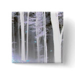 EERIE FOREST TREES LEAVES COLOR NEGATIVE