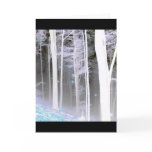 EERIE FOREST TREES LEAVES COLOR NEGATIVE