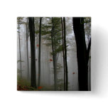 EERIE FOREST TREES LEAVES FULL FALL COLORS