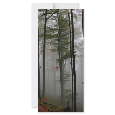 EERIE FOREST TREES LEAVES FULL FALL COLORS by VoXeeD