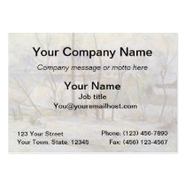 Effect of Snow - 1879 business cards