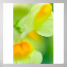 Egg Candy Poster