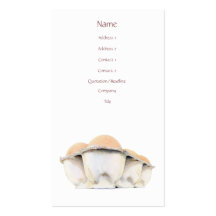 Egg Carton Business Card Template
